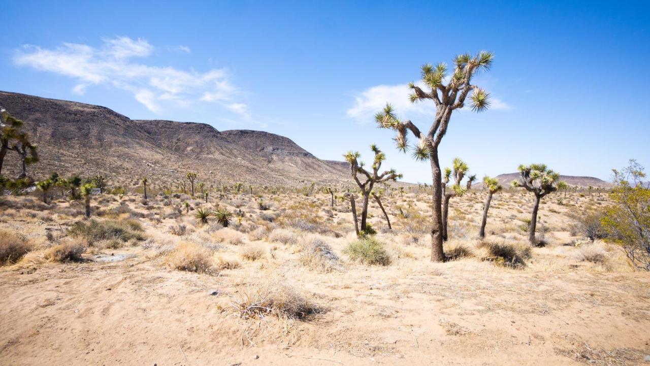 Wind Hill Hotel Yucca Valley Ngoại thất bức ảnh